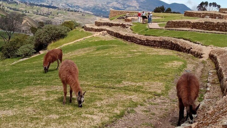 Private Tour from Cuenca to Ingapirca Ruins with Lunch