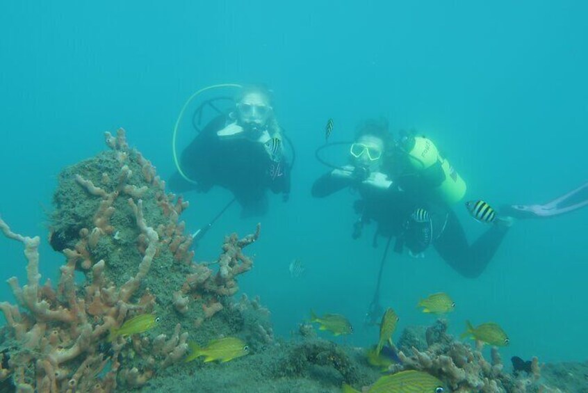 scuba divers posting for Laura Parke photographer