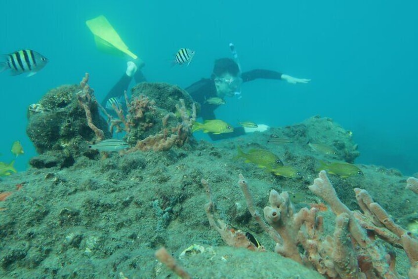 Snorkeling Lesson N Private Tour Expert Led Training First Timers
