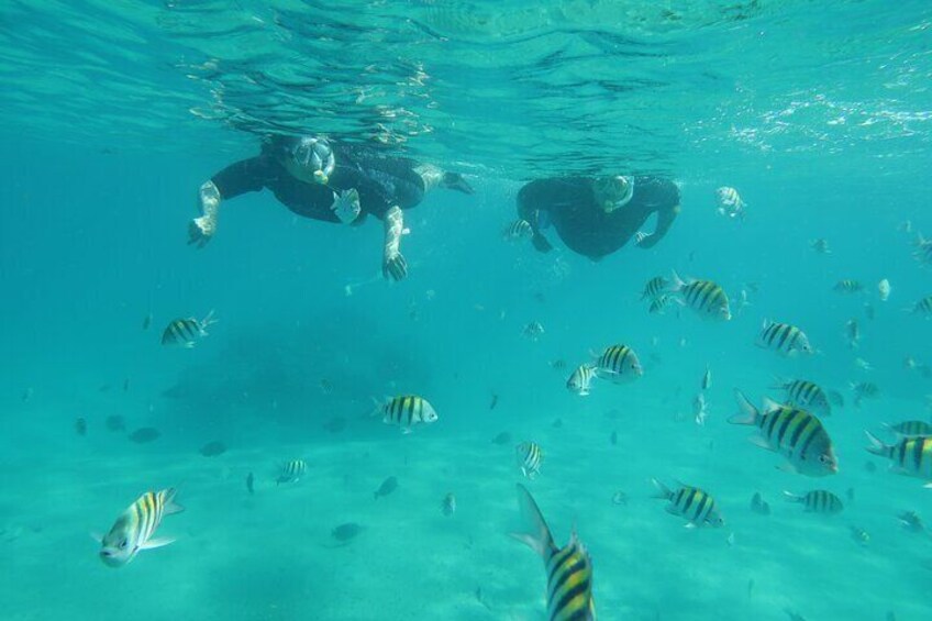 Private Half-day Snorkeling Guided Experience in Palm Beach