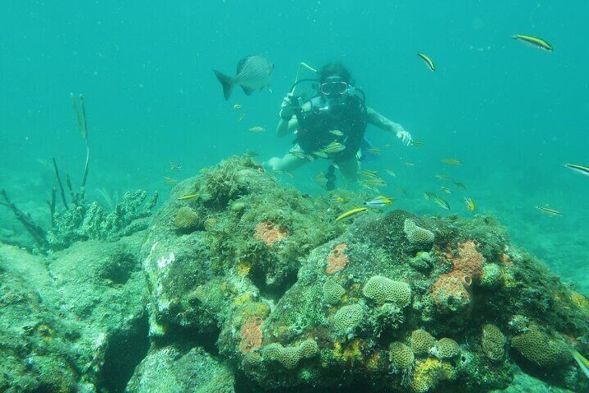 Snorkeling Lesson N Private Tour Expert Led Training First Timers