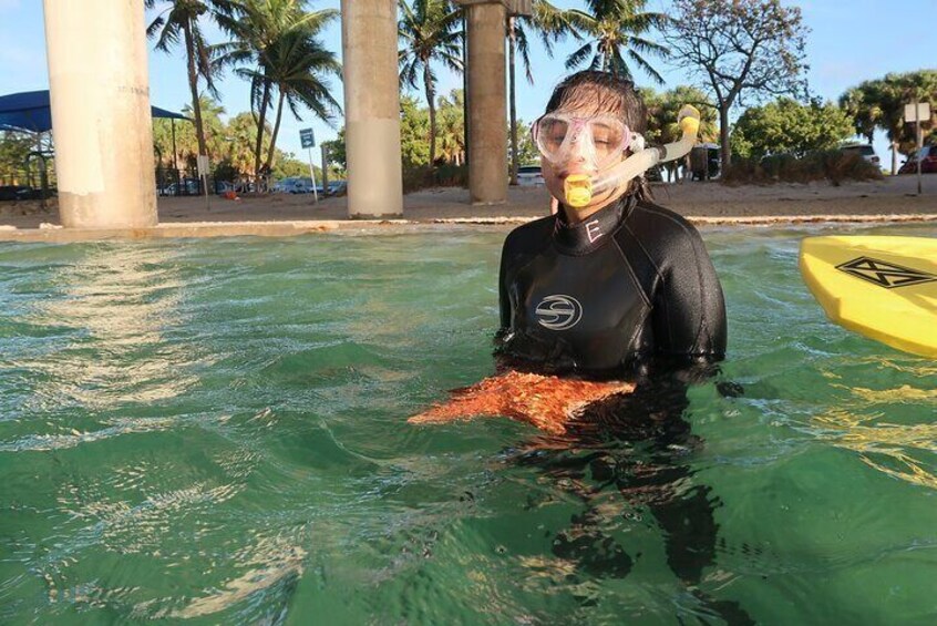 Snorkeling Lesson N Private Tour Expert Led Training First Timers