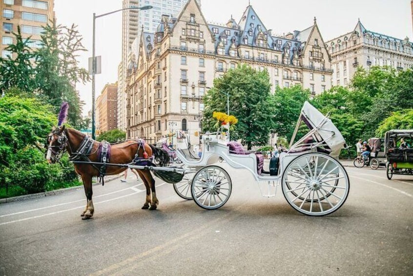 NYC Central Park&Rockefeller Center&Times Square Horse Carriage Private Tour