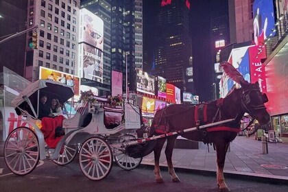 NYC Central Park & Rockefeller Center & Times Square Horse Carriage Private...