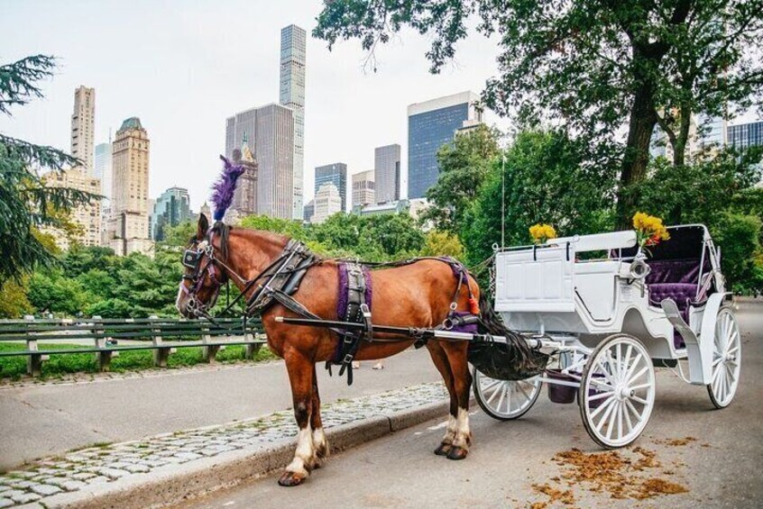 NYC Central Park&Rockefeller Center&Times Square Horse Carriage Private Tour