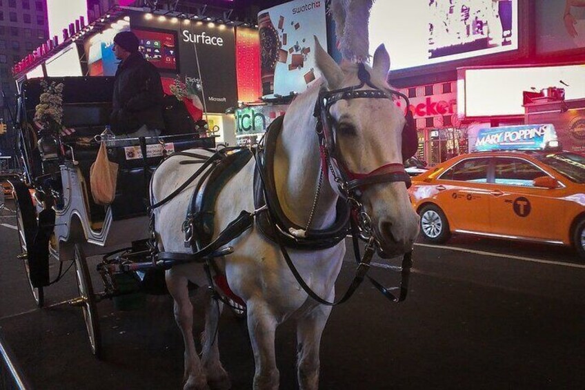 NYC Central Park&Rockefeller Center&Times Square Horse Carriage Private Tour