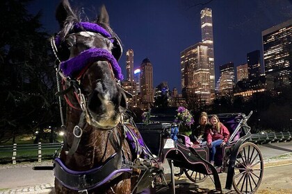 NYC Central Park&Rockefeller Center&Times Square Horse Carriage Private Tou...