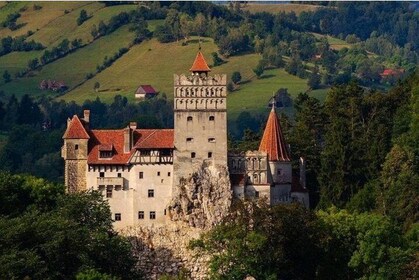 Dracula's Castle and Peleș Royal Castle - Private Tour