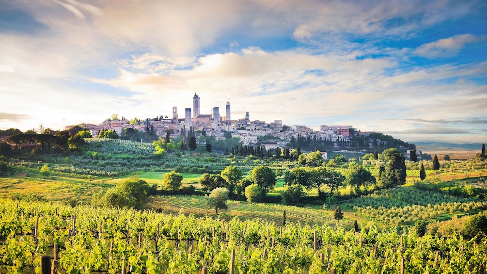 Panoramic view of San Gimignano