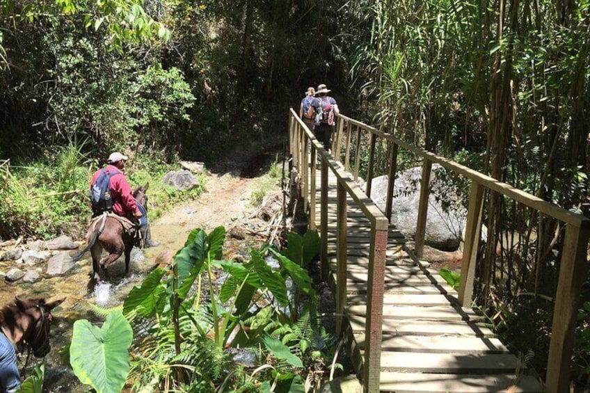 Tour to Pico Duarte for 3 days from Jarabacoa