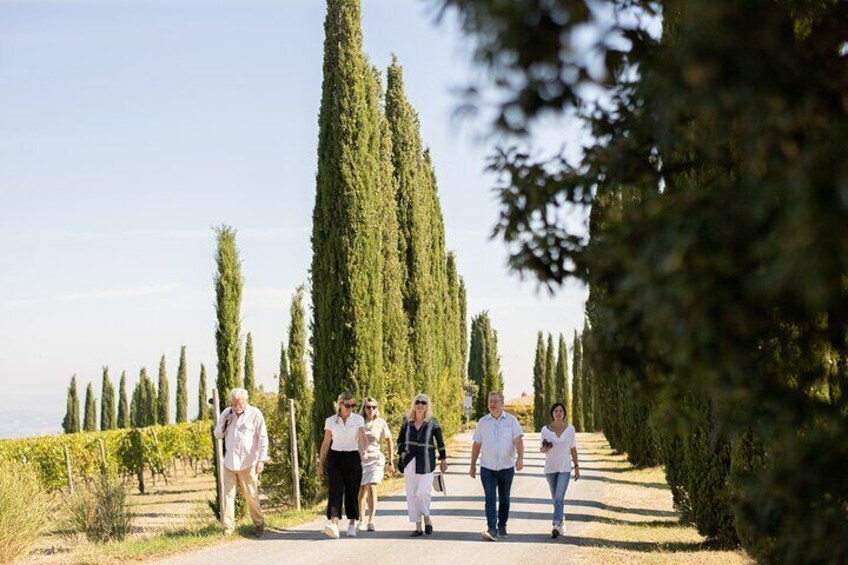 Guided winery tour and wine tasting with lunch in Montalcino