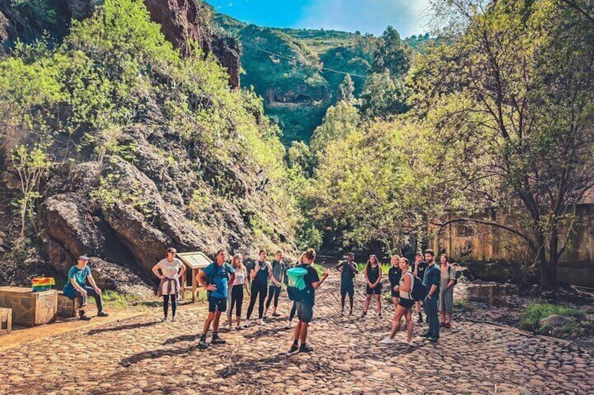 The Rainforest Tour - Small Group Trip with Tasting ツ