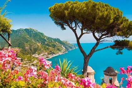 Private Corfu Tour Admire the Most Iconic Sights of Corfu