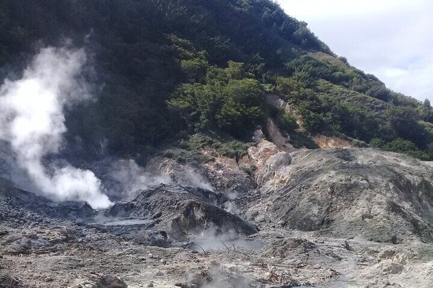 St Lucia Sulphur Springs Drive in Volcano Tour & Therapeutic Mud baths