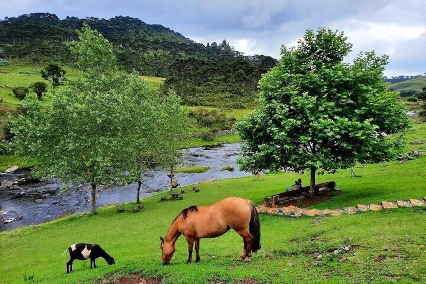 Serra Catarinense