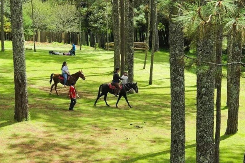 Grutas de Rancho Nuevo y Centro Ecoturistico Arcotete