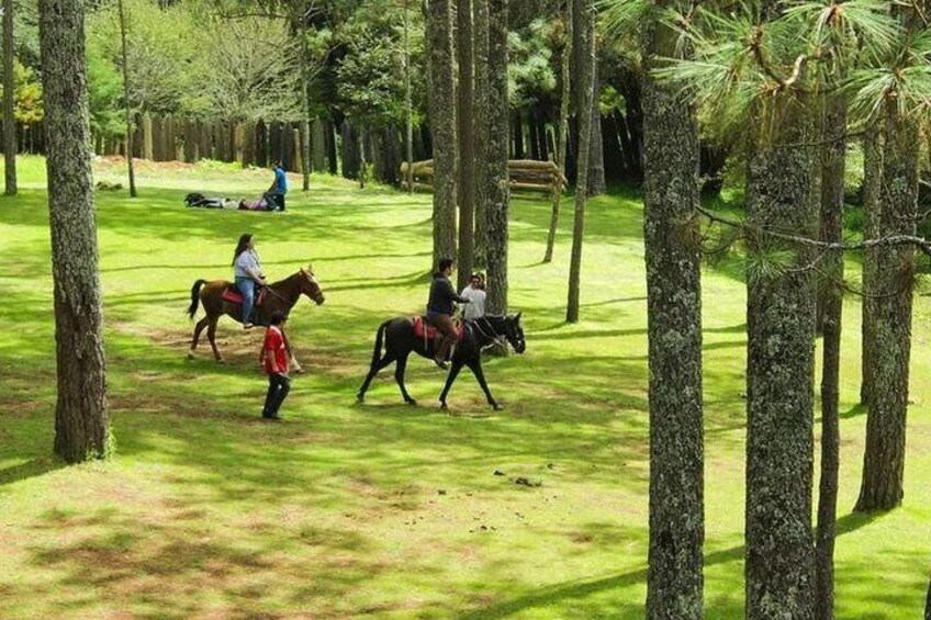 Grutas de Rancho Nuevo y Centro Ecoturistico Arcotete
