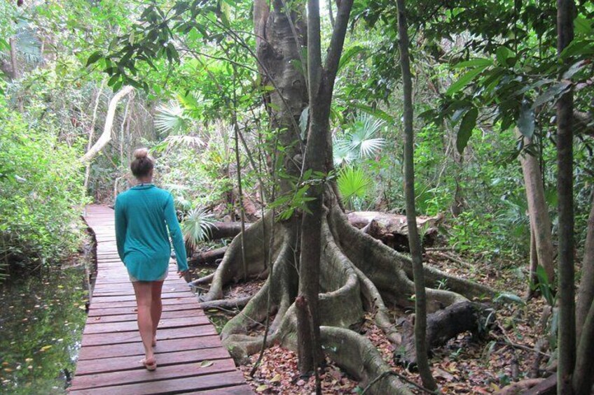 Birdwatching in Sian Ka´an and Muyil Archaeological Site from Tulum