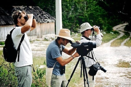 Birdwatching in Sian Ka´an and Muyil Archaeological Site from Tulum