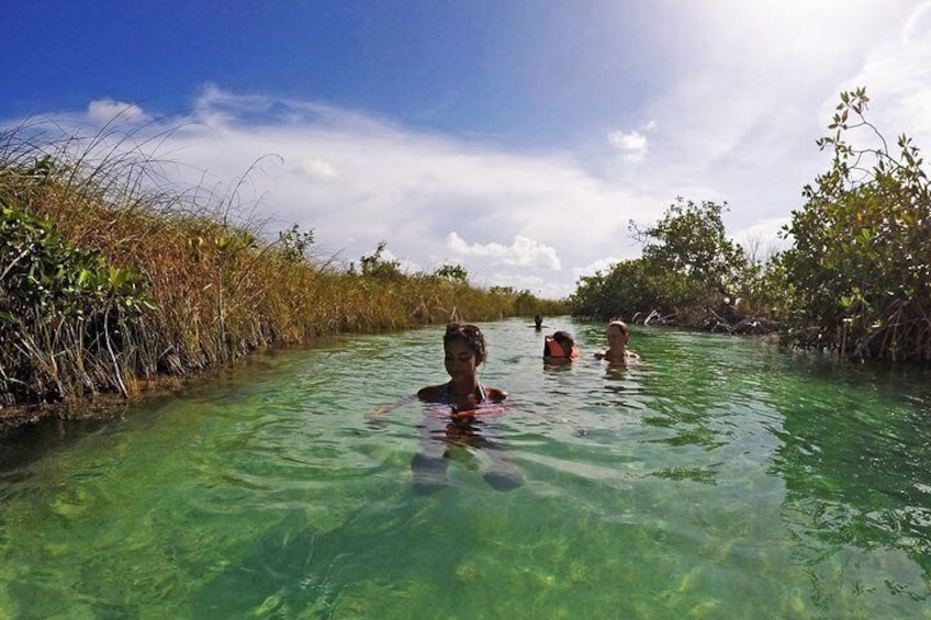 Birdwatching in Sian Ka´an and Muyil Archaeological Site from Tulum