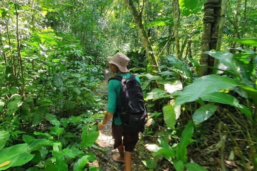 Ecological Trail and Crossings in Bombinhas by Zimbros Ecotour