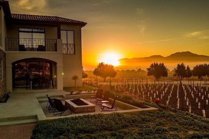 Wine Tasting and Carriage Tour at Premium Winery at Valle de Guadalupe