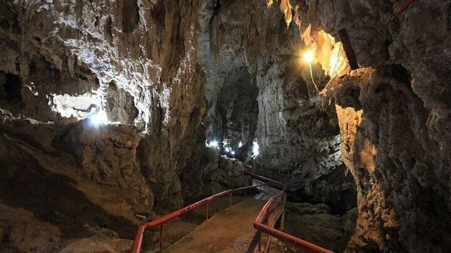Tour to Grutas de Rancho Nuevo and El Arcotete Ecotourism Park