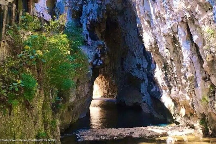 Tour to Grutas de Rancho Nuevo and El Arcotete Ecotourism Park