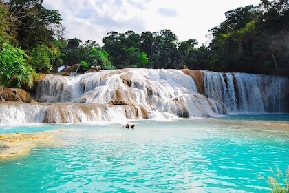 Tour cascadas de Agua Azul, Cascada Misol-Ha y Zona Arqueológica de Palenqu...