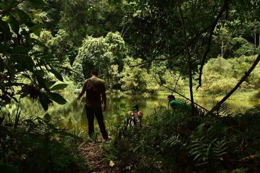 Excursion with Hike in the Lacandon Jungle from Palenque