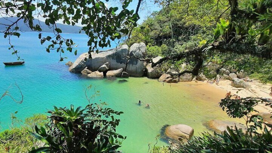 Boat Tour Beach By Zimbros Ecotour