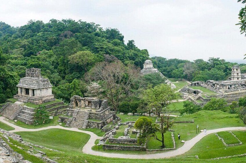 Tour Archaeological Zone and Roberto Barrios Waterfall from Palenque