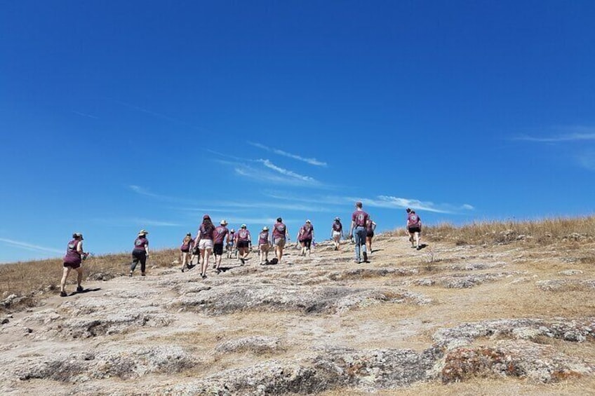 Pilgrimage with Researcher to Cañada de la Virgen, Hill of the Ancestors