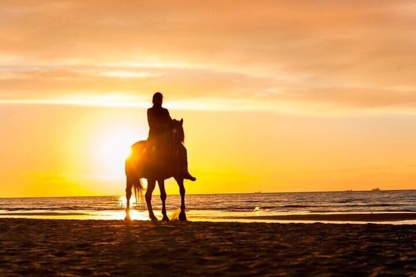 Horseback Riding in Sayulita Through Jungle Trails to the Beach