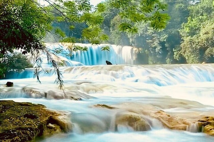 Tour to the Wonders of Chiapas in 7 Days