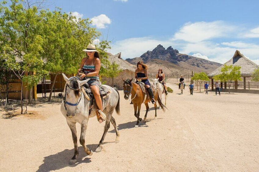 Private Horseback Riding and Farm Animals in La Paz with Meals