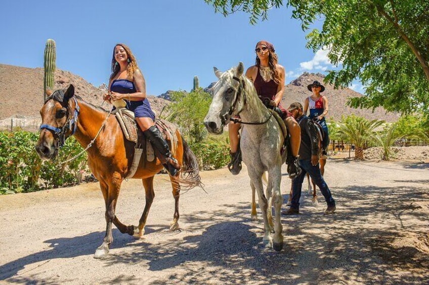 Private Horseback Riding and Farm Animals in La Paz with Meals