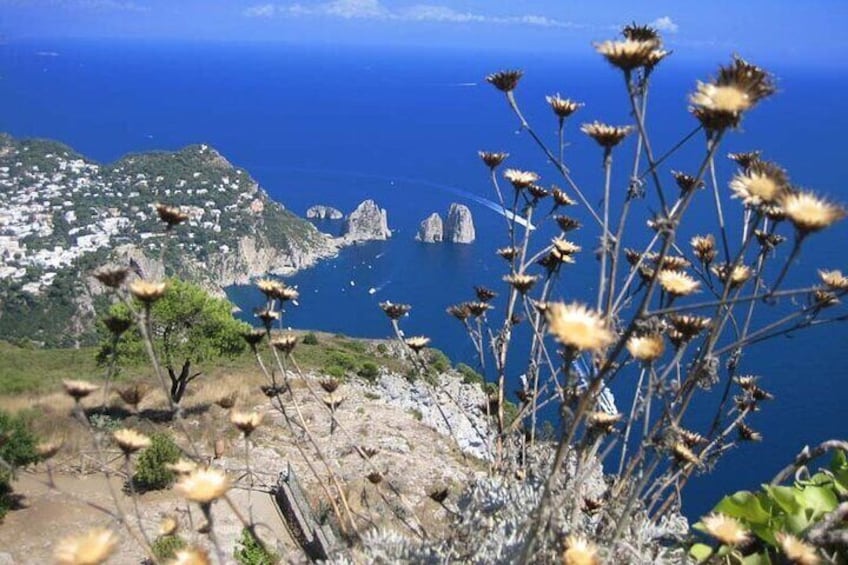 Full-Day Capri Tour with Hydrofoil and Pick Up