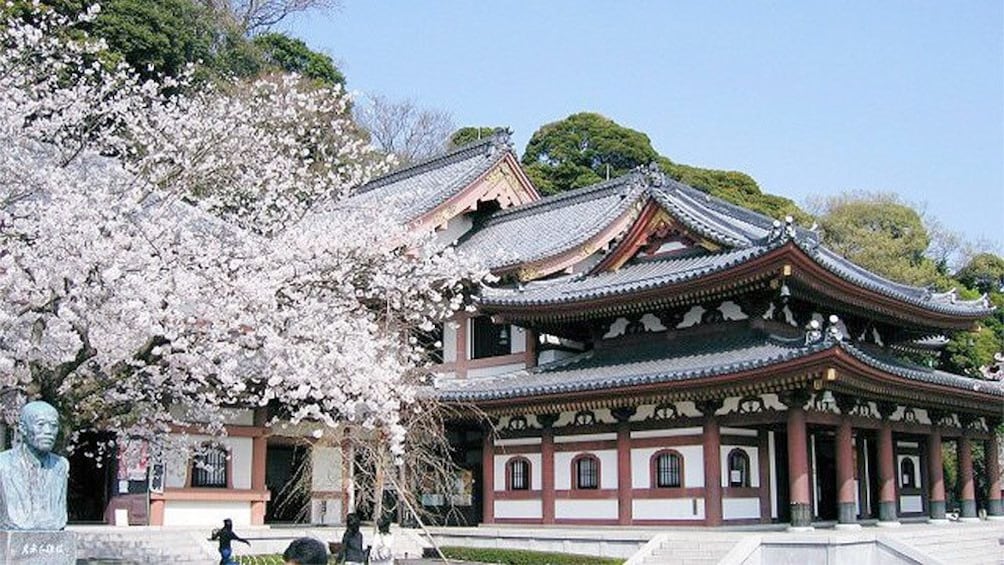 Show item 1 of 9. Landscape view of the Hase-dera, a Buddhist temple in Kamakura, Japan