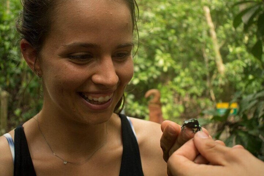 We found a poison dart frog