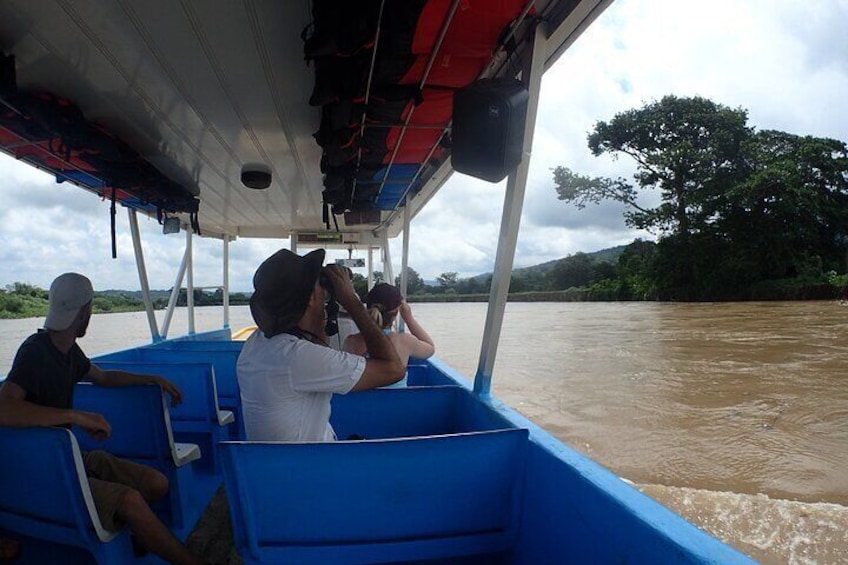 Bring your binoculars for an amazing birdwatching experience