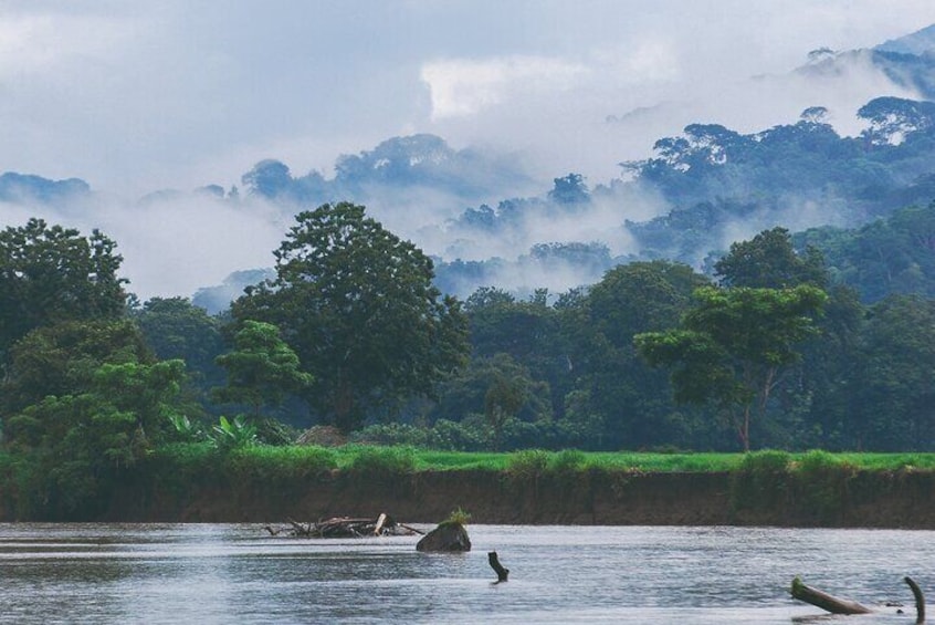 Full-Day Carara National Park and Tarcoles River Tour