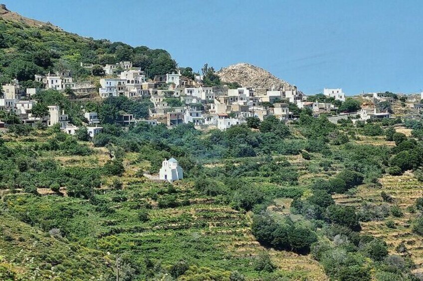 Naxos private half day tour