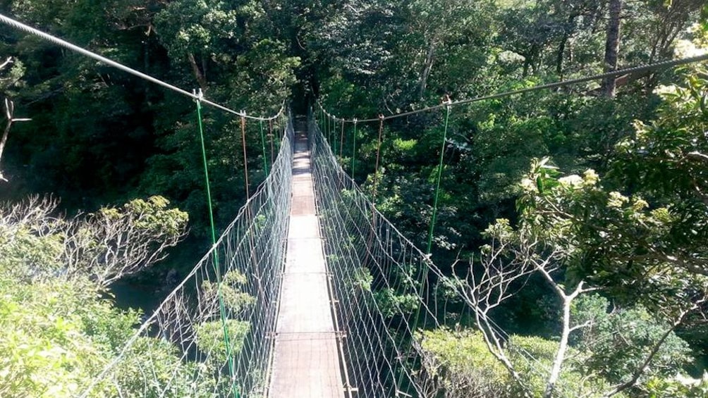 Suspension Bridge in Costa Rica 