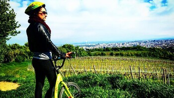 Small-Group Wachau Valley Bike Tour with Wine Tasting