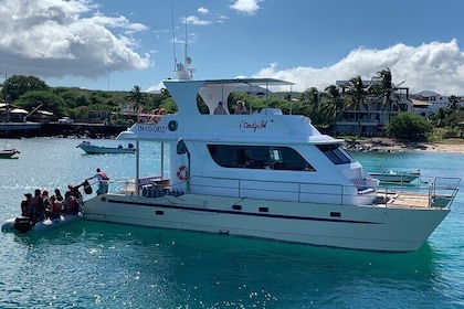 Private/Charter Catamaran Yacht on San Cristobal Island
