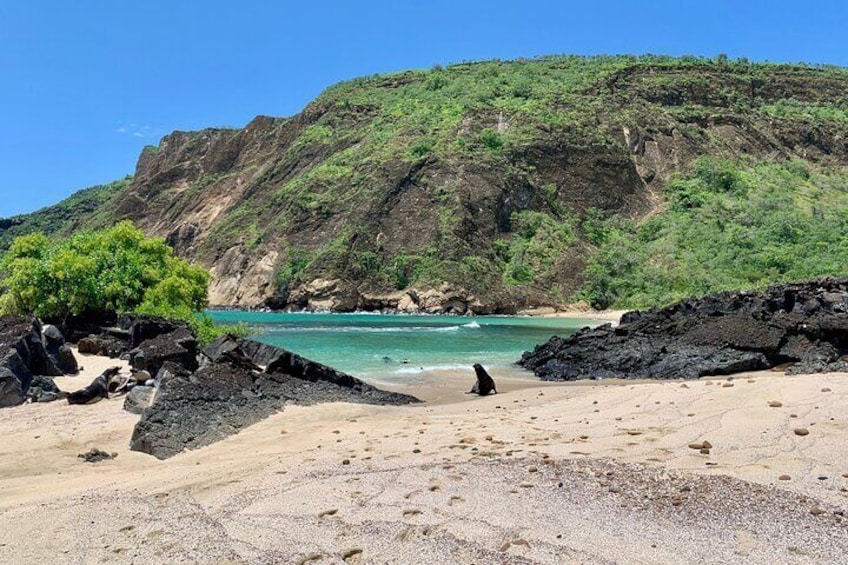 Private/Charter Catamaran Yacht on San Cristobal Island