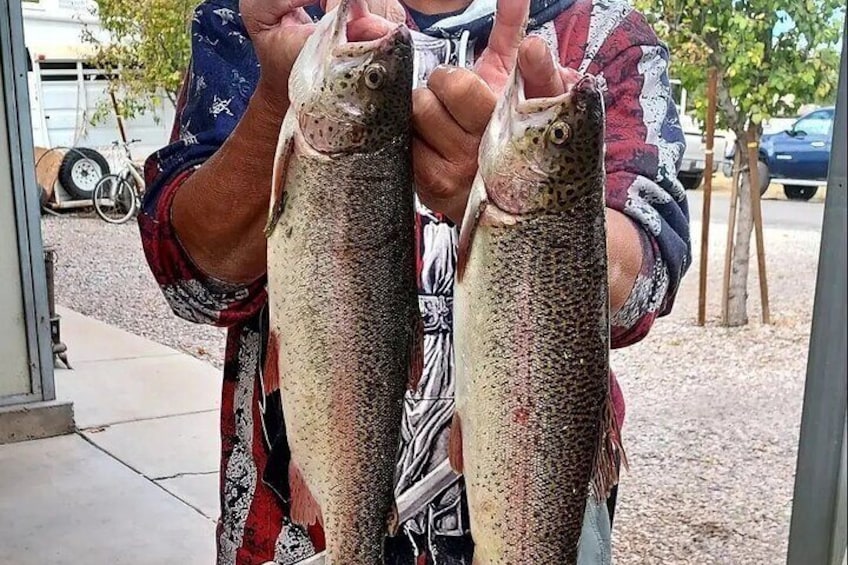 AZ Trout Fishing, on foot 2hrs. session! up to 4 people