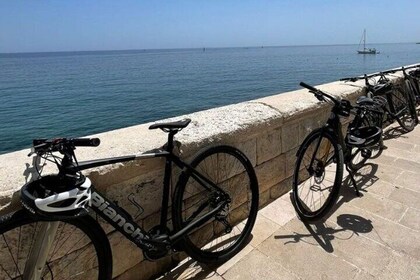 E-Bike, Apulian Sandwich and Wine