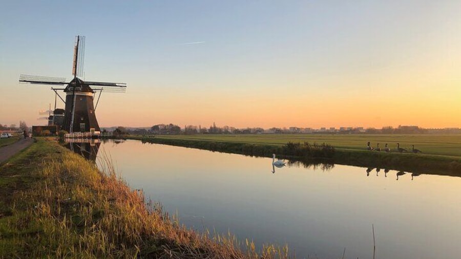 Customizable private tour windmills, clogs & cheese and more..